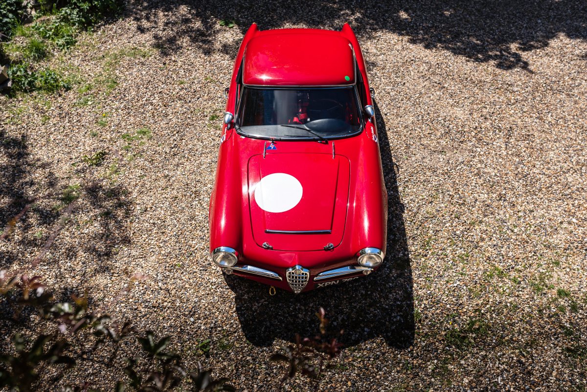 1965 Alfa Romeo Giulia 101 Spider