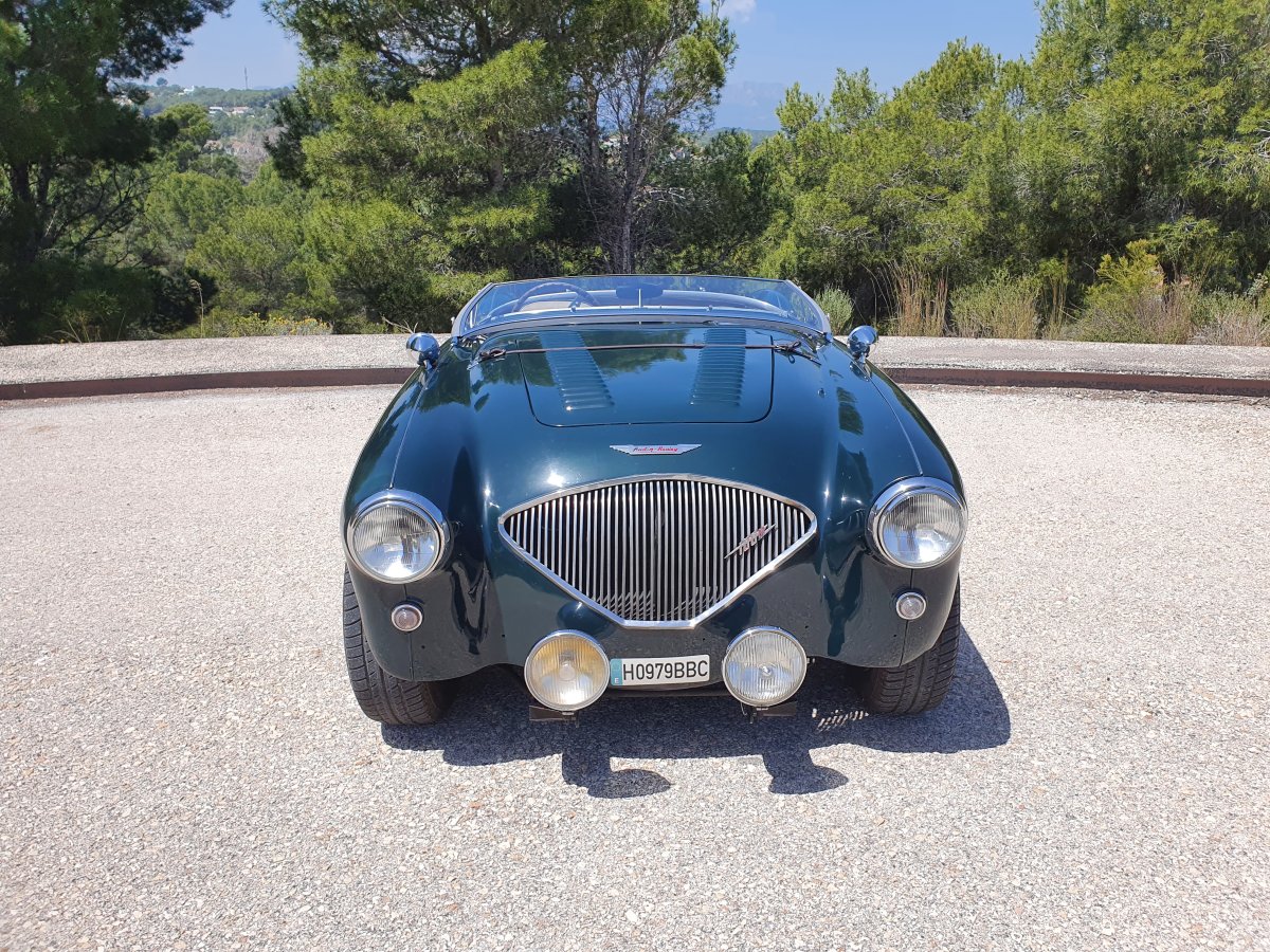 1954 Austin Healey 100 BN1 For Sale