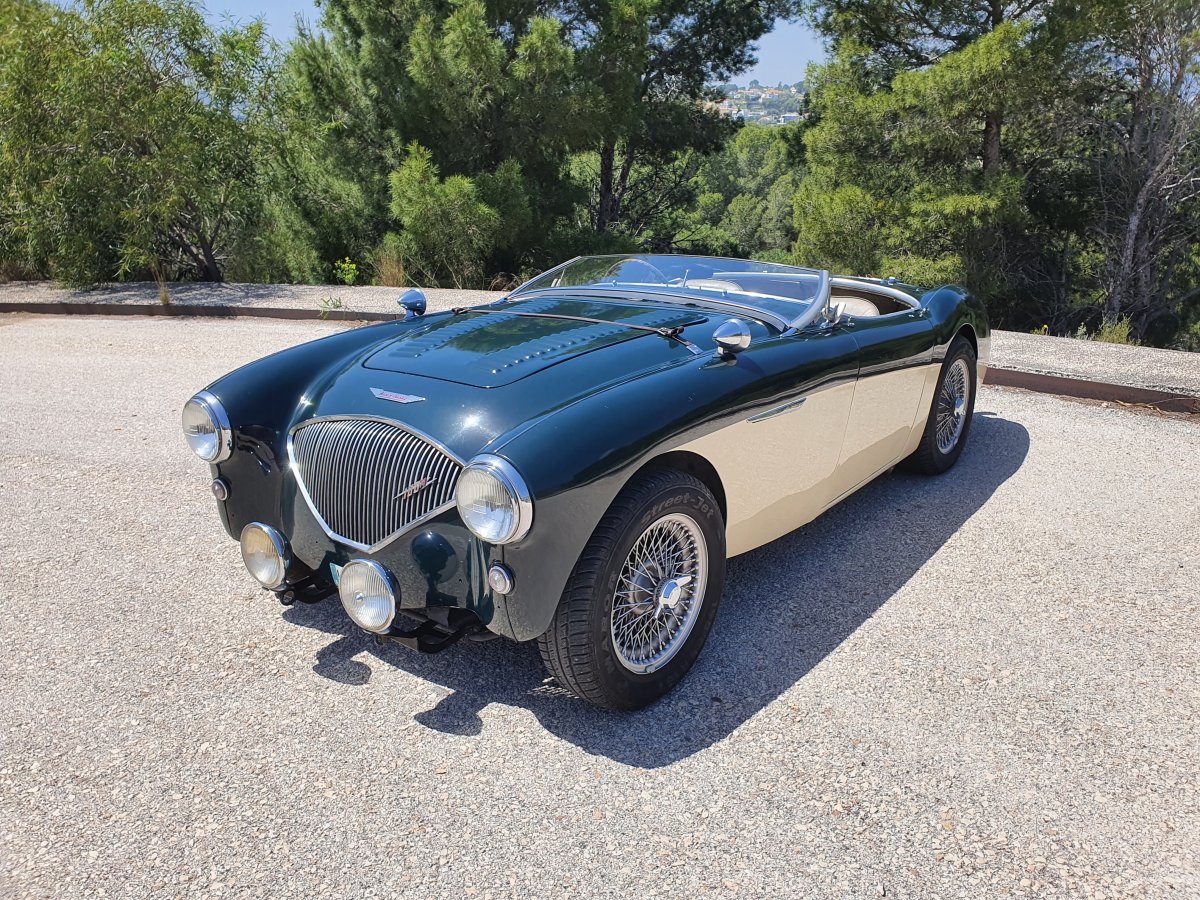 1954 Austin Healey 100 BN1 For Sale