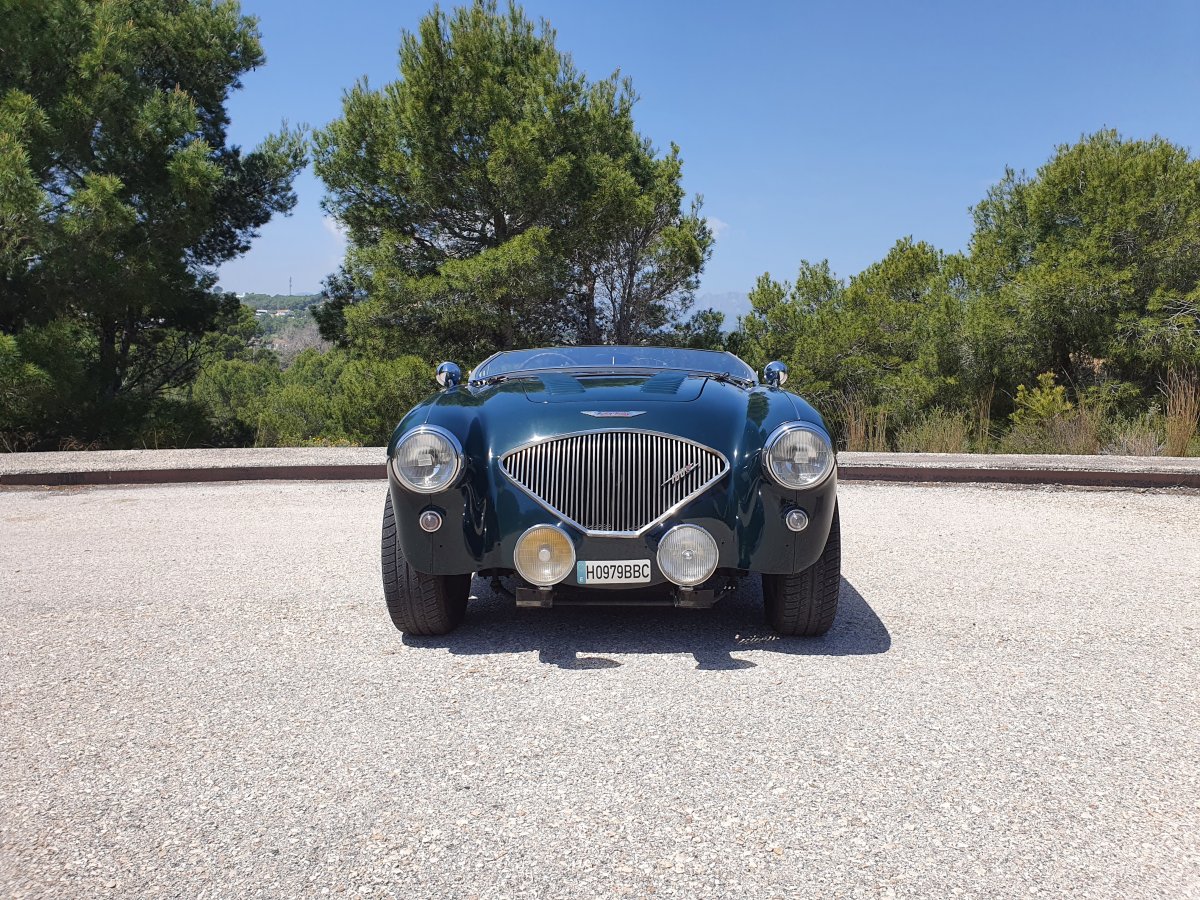 1954 Austin Healey 100 BN1 For Sale