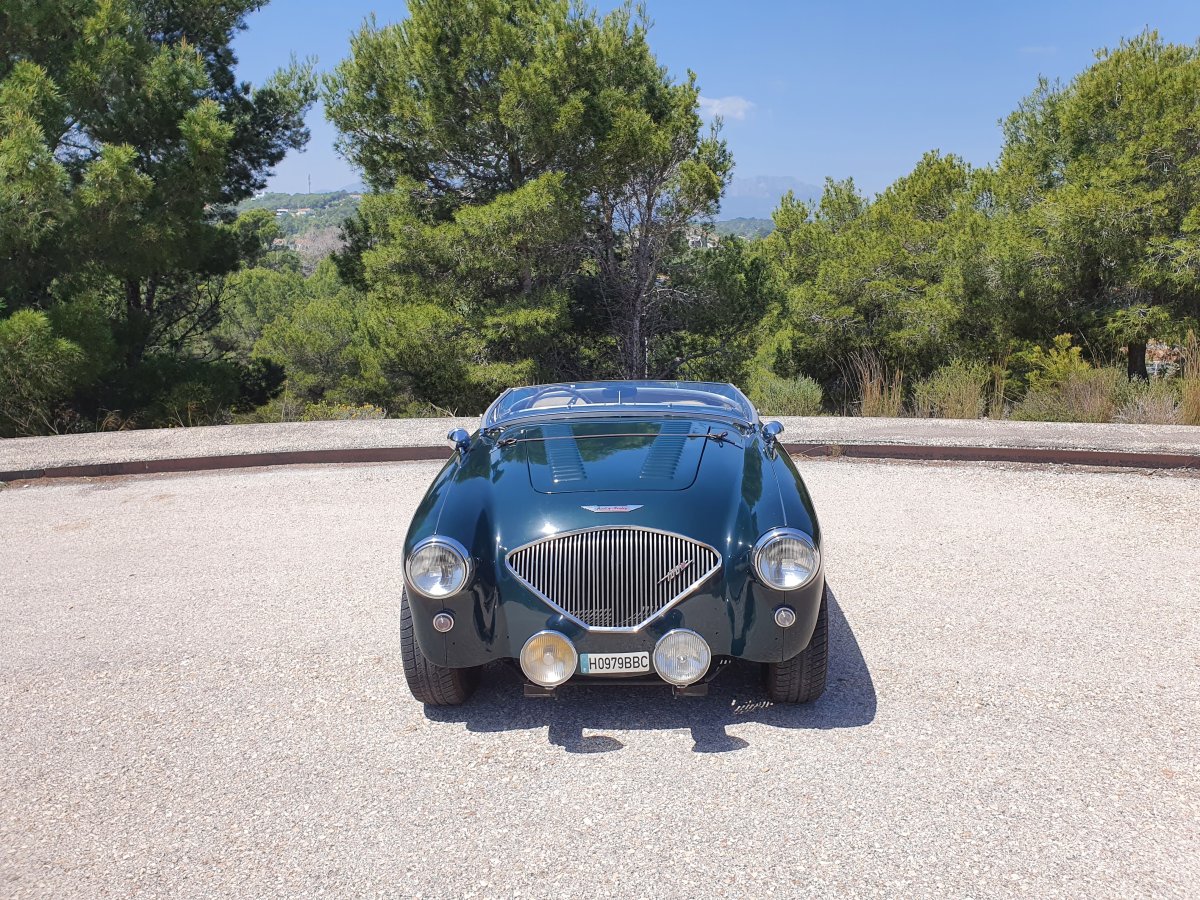 1954 Austin Healey 100 BN1 For Sale