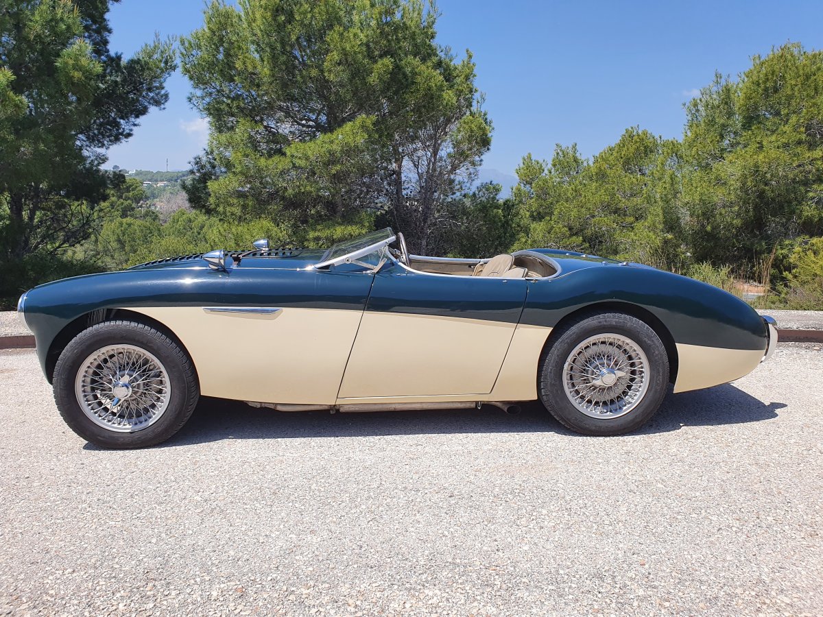 1954 Austin Healey 100 BN1 For Sale