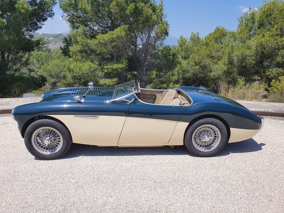 1954 Austin Healey 100 BN1 For Sale