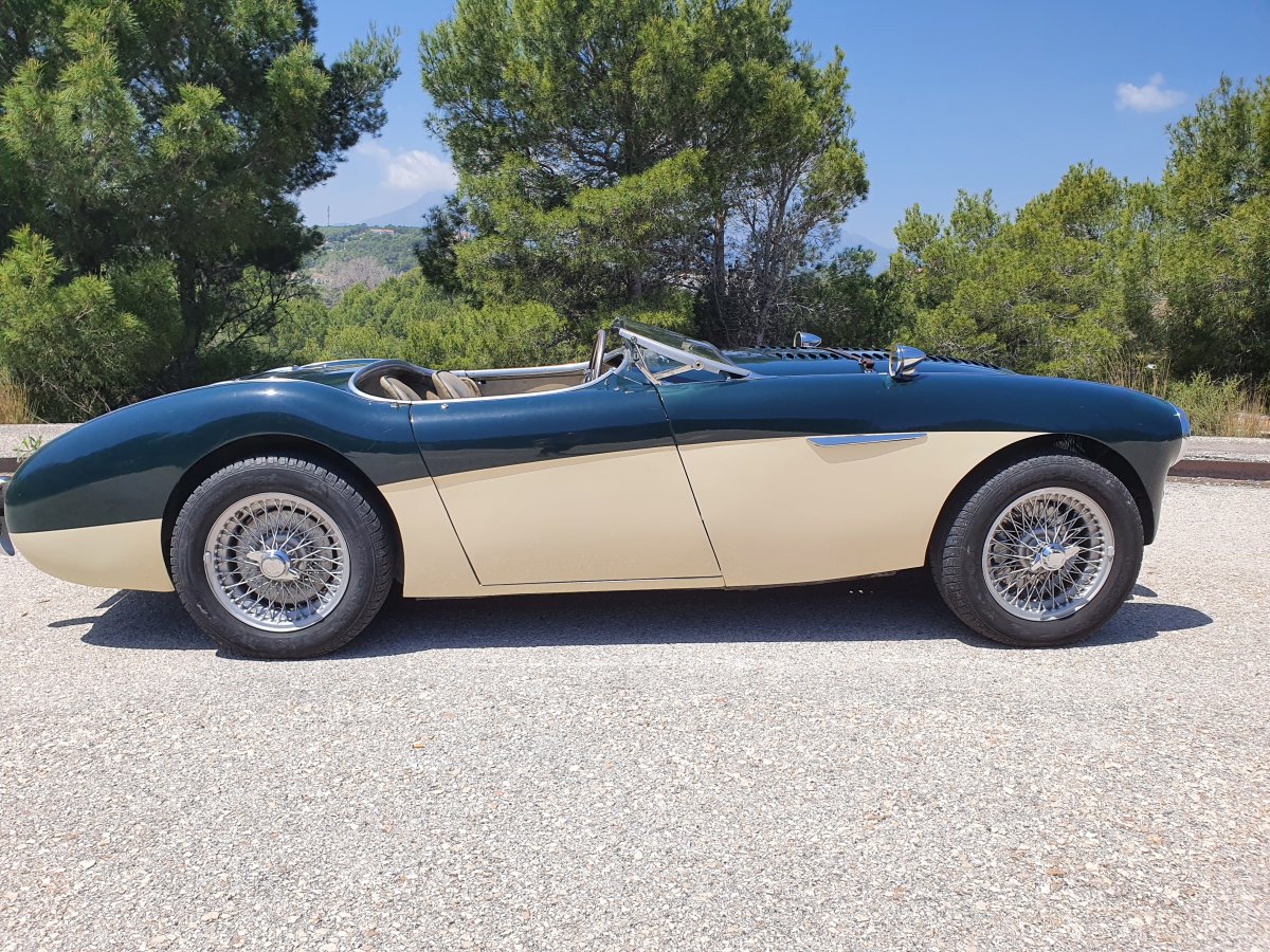 1954 Austin Healey 100 BN1 For Sale
