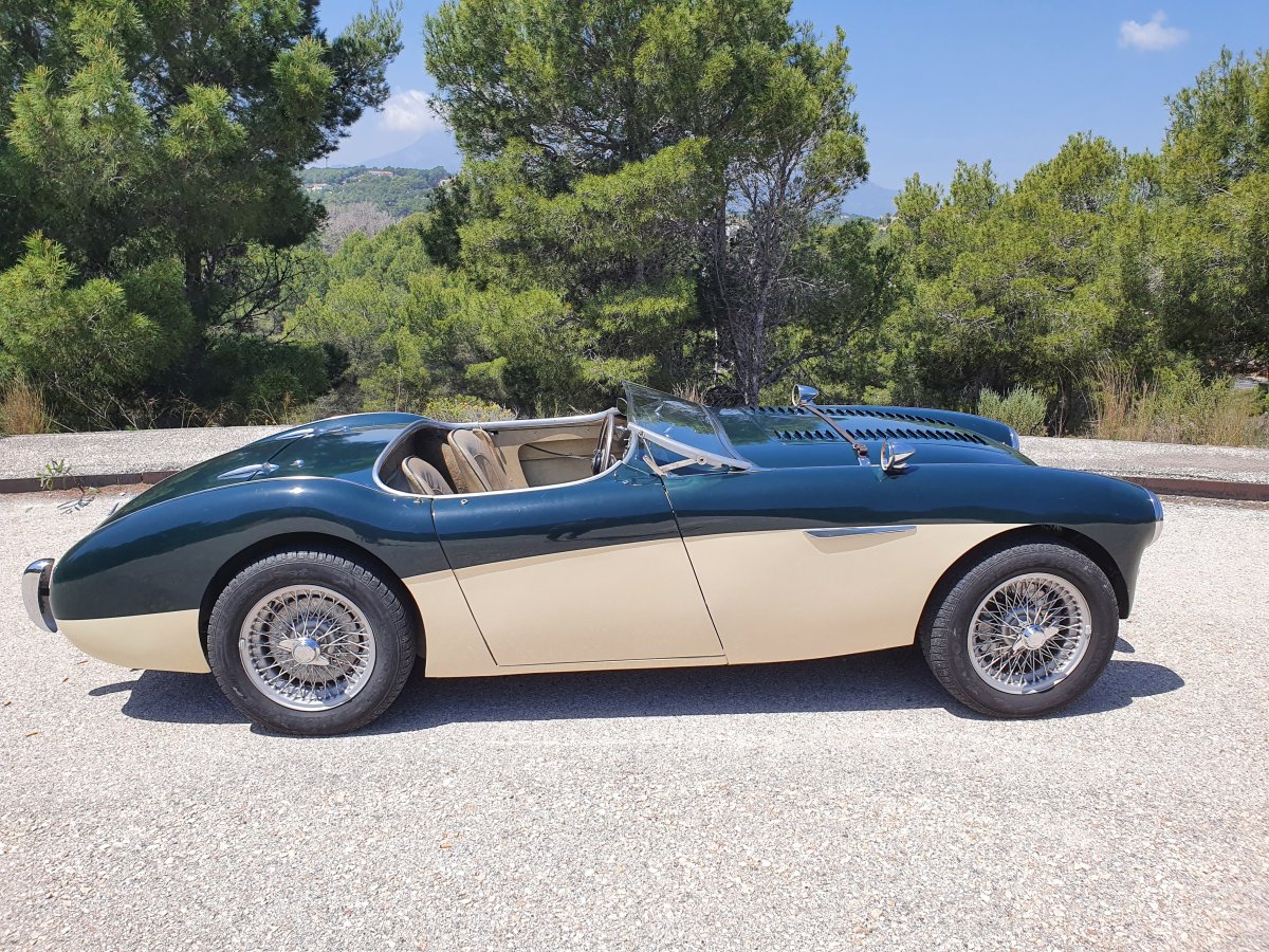 1954 Austin Healey 100 BN1 For Sale