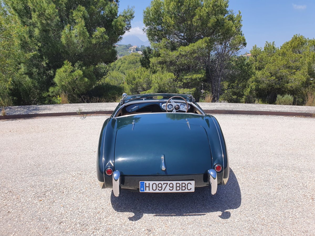 1954 Austin Healey 100 BN1 For Sale