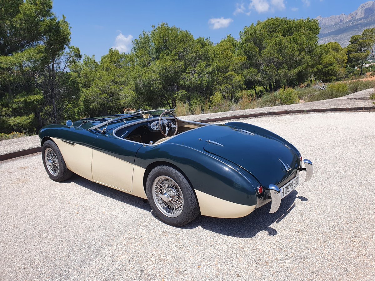 1954 Austin Healey 100 BN1 For Sale