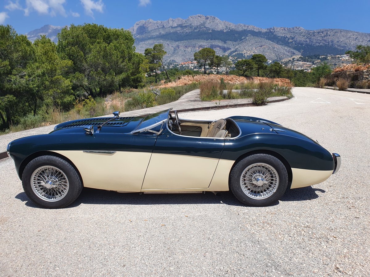 1954 Austin Healey 100 BN1 For Sale