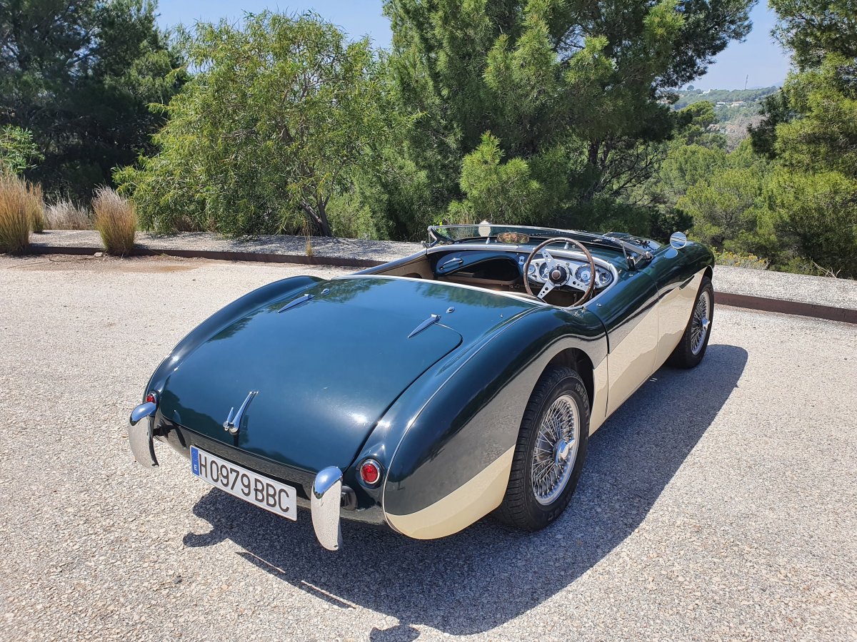 1954 Austin Healey 100 BN1 For Sale