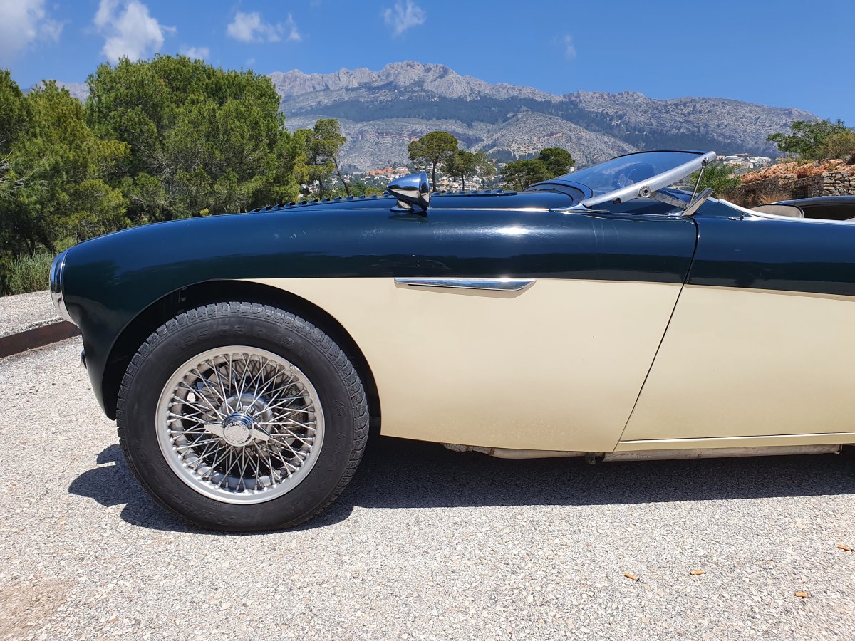 1954 Austin Healey 100 BN1 For Sale