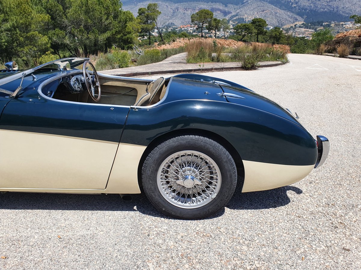 1954 Austin Healey 100 BN1 For Sale