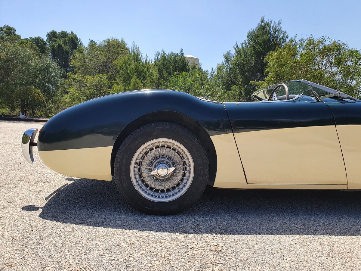 1954 Austin Healey 100 BN1 For Sale