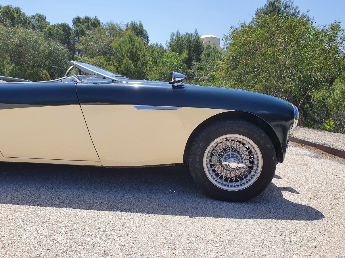 1954 Austin Healey 100 BN1 For Sale