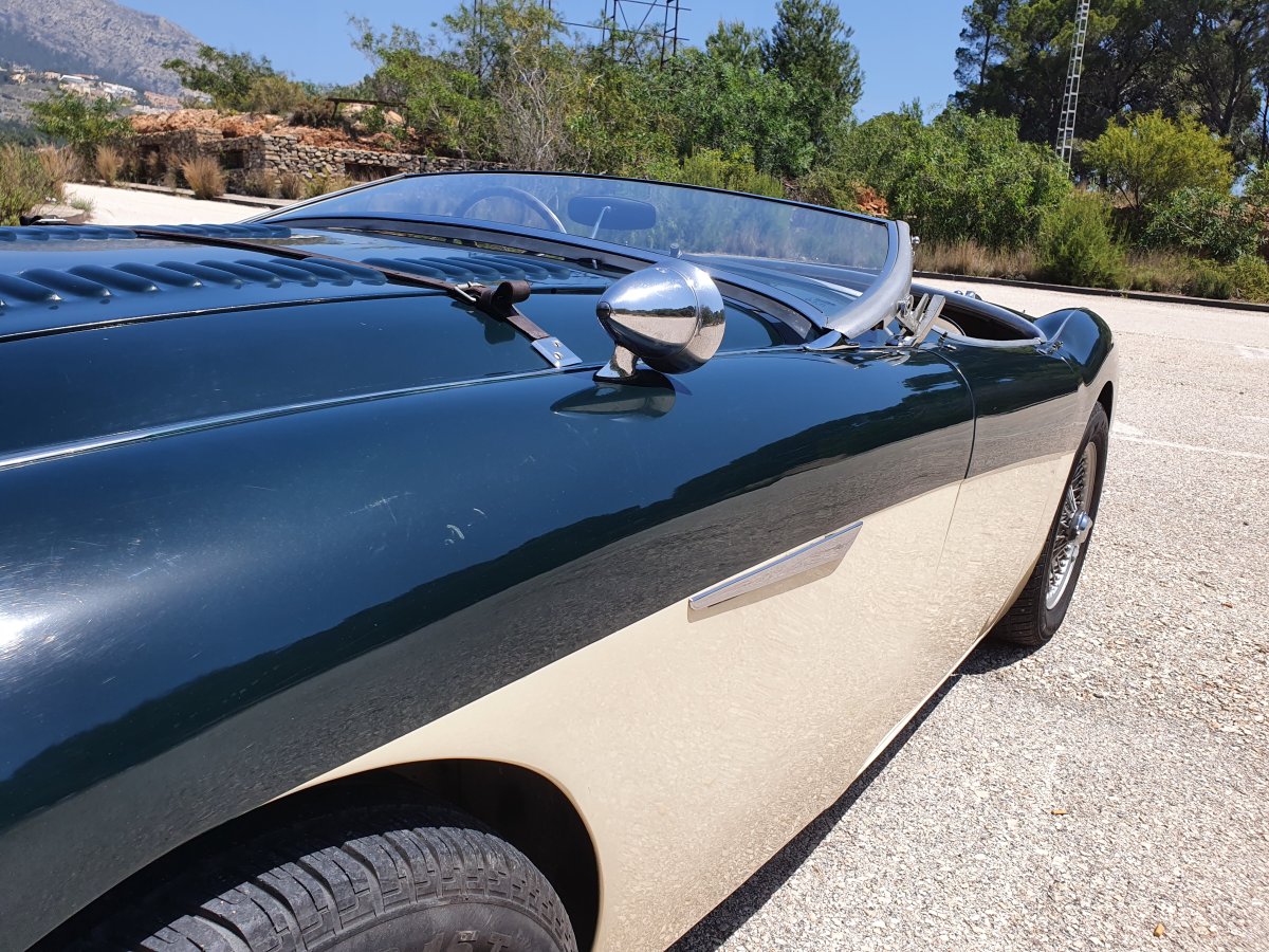 1954 Austin Healey 100 BN1 For Sale