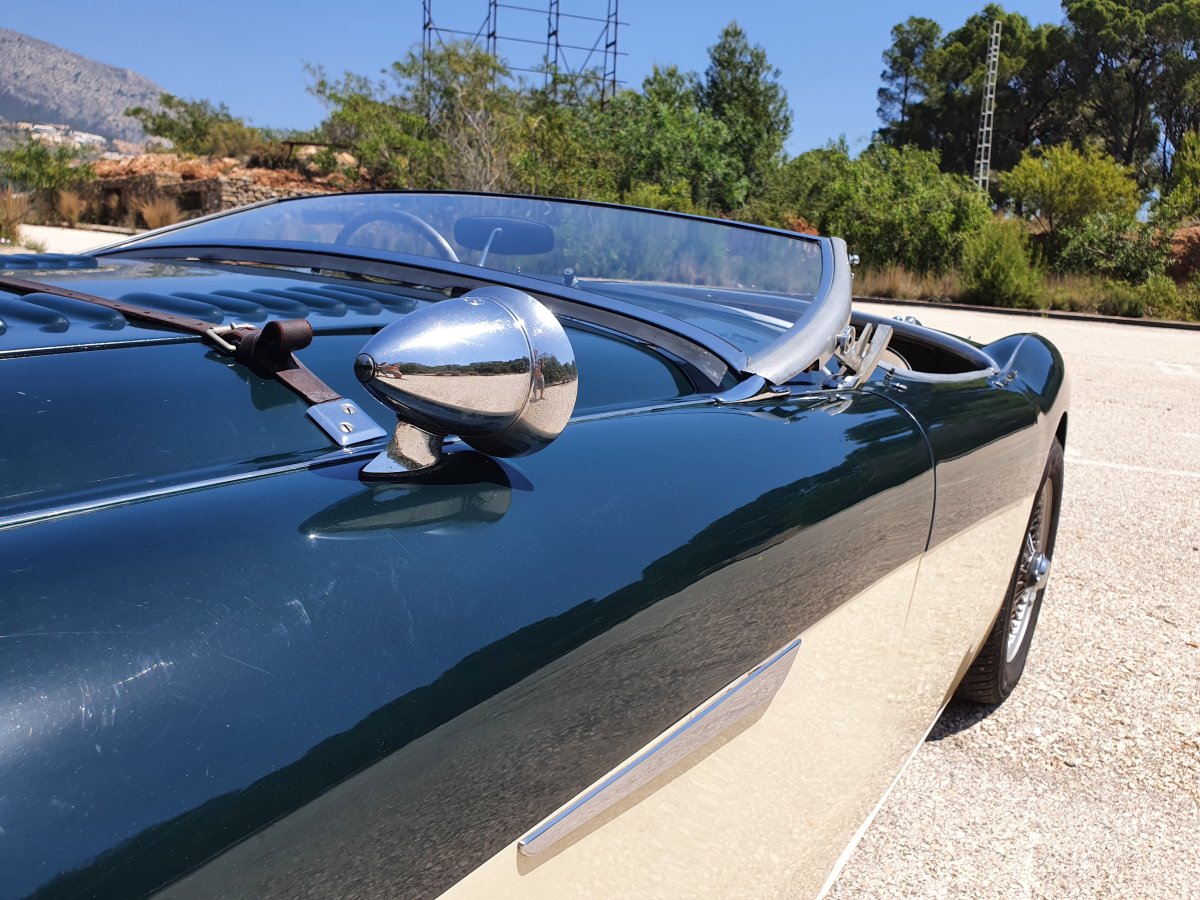 1954 Austin Healey 100 BN1 For Sale