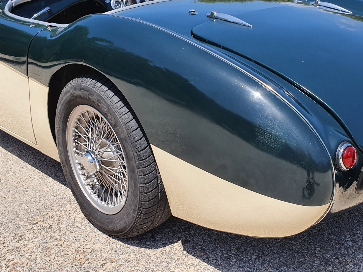 1954 Austin Healey 100 BN1 For Sale