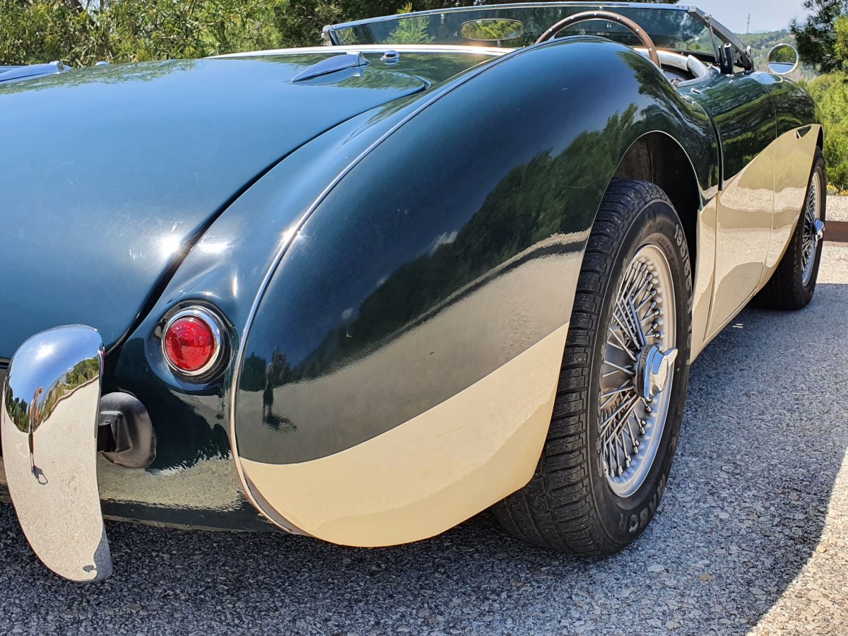 1954 Austin Healey 100 BN1 For Sale