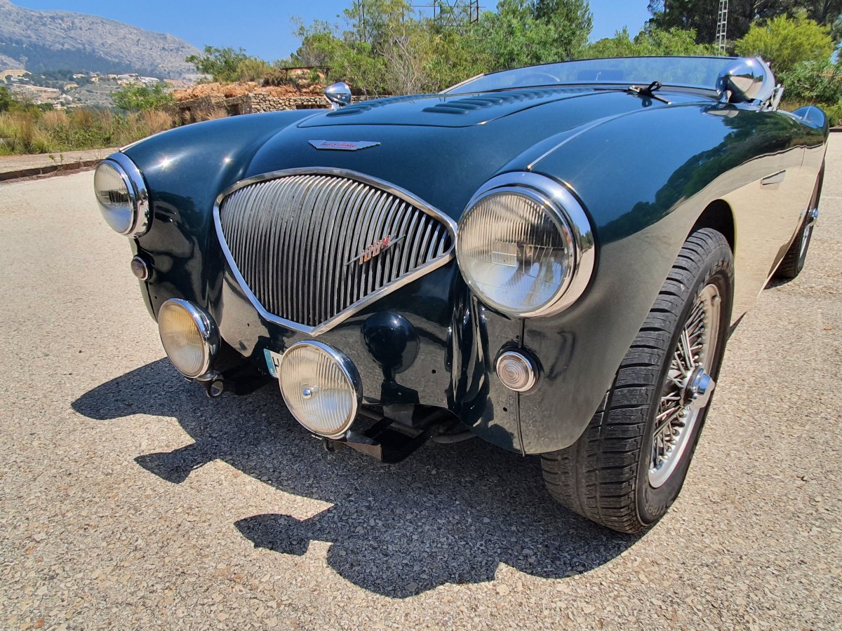 1954 Austin Healey 100 BN1 For Sale