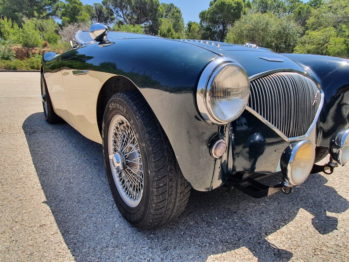 1954 Austin Healey 100 BN1 For Sale