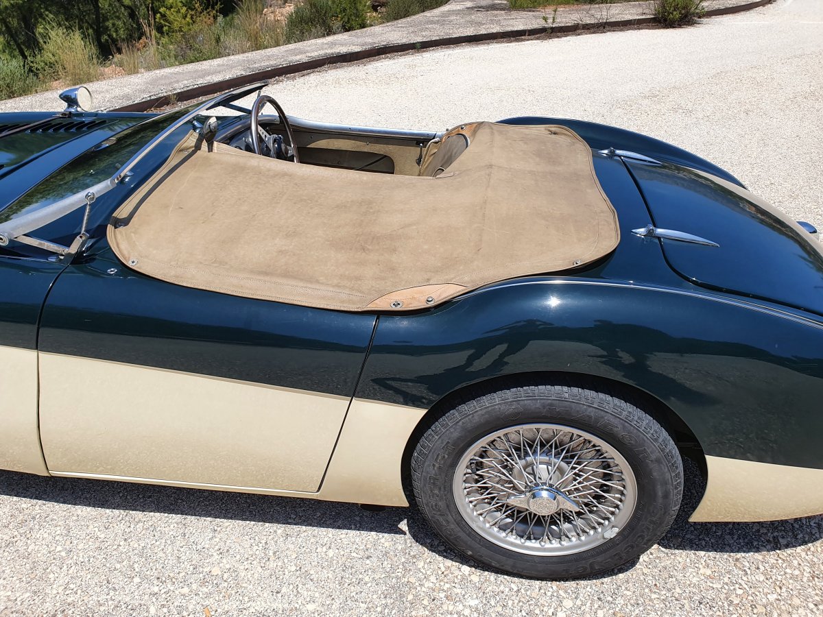 1954 Austin Healey 100 BN1 For Sale