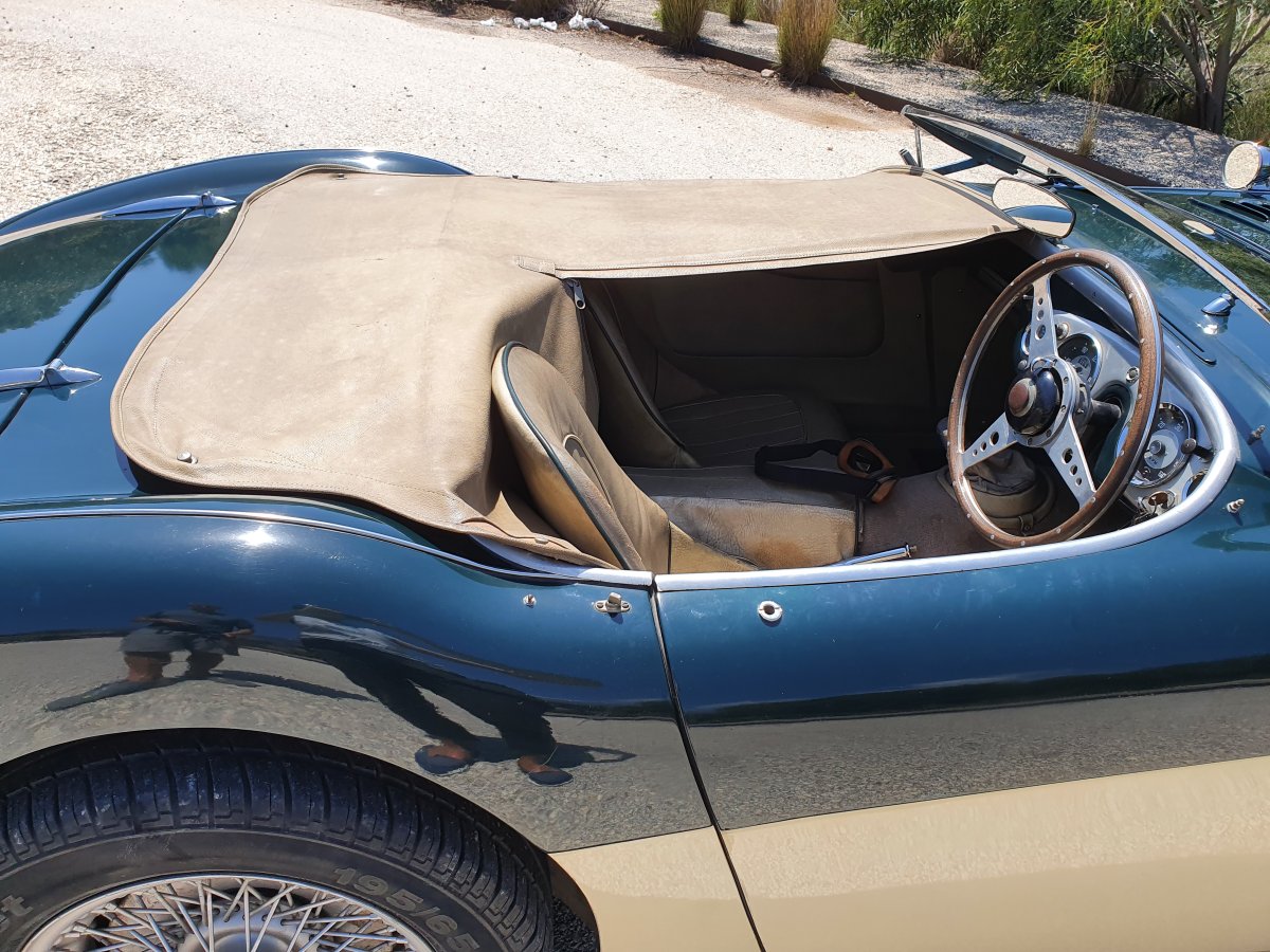 1954 Austin Healey 100 BN1 For Sale