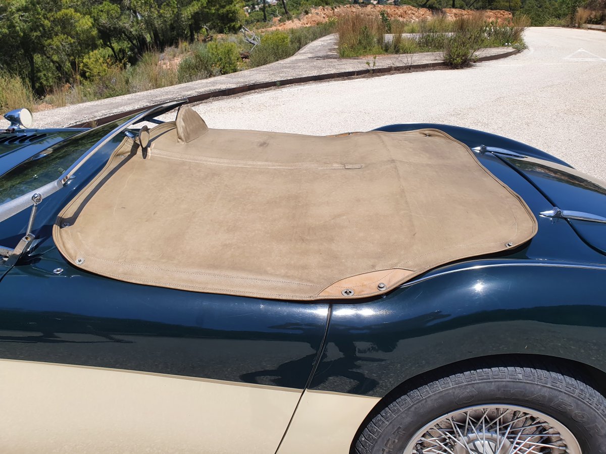 1954 Austin Healey 100 BN1 For Sale