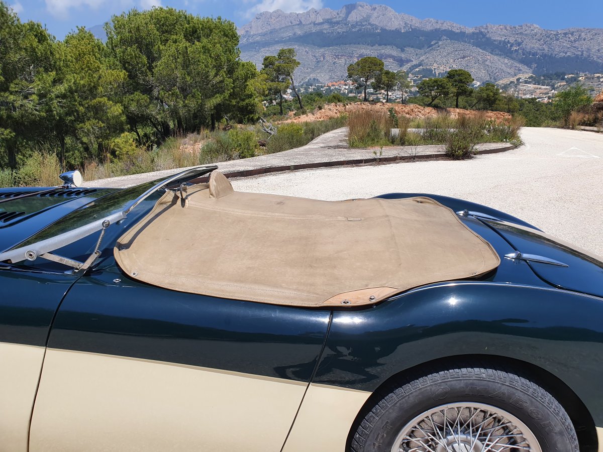 1954 Austin Healey 100 BN1 For Sale