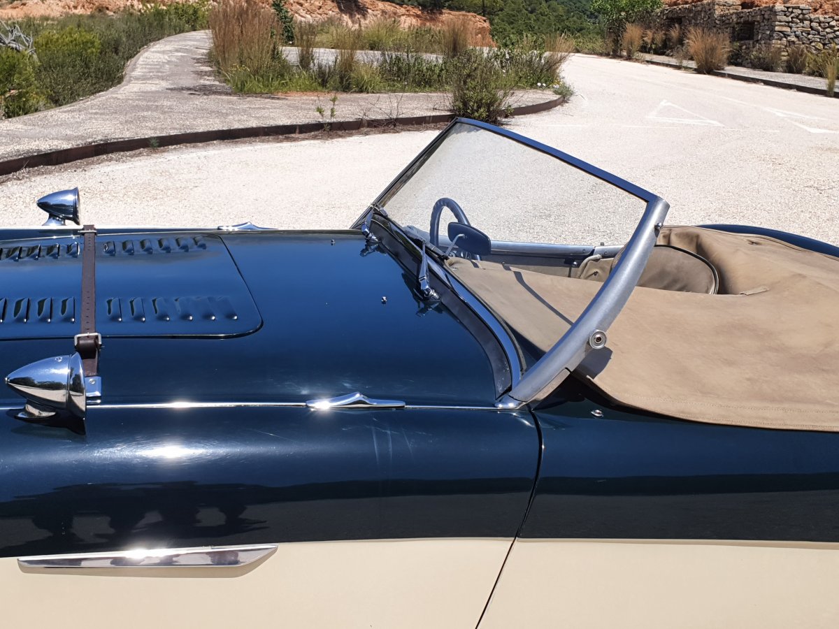 1954 Austin Healey 100 BN1 For Sale