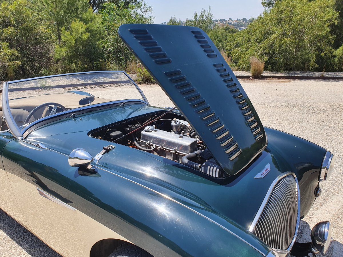 1954 Austin Healey 100 BN1 For Sale